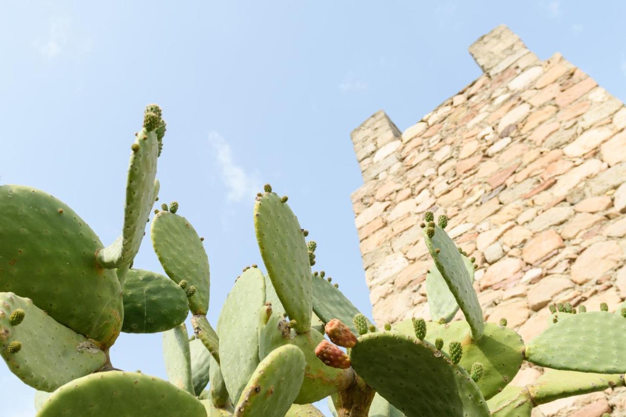 Villa Notos Adamantas  Dış mekan fotoğraf